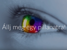 Egy nap, egy kihívás | Cég & Brand