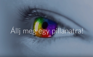 Új nap, új lehetőség! Kezdd a mai nappal! Egy nap, egy kihívás | Cég & Brand