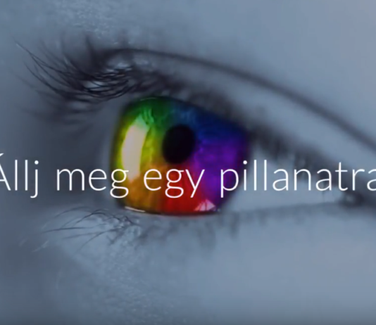 Új nap, új lehetőség! Kezdd a mai nappal! Egy nap, egy kihívás | Cég & Brand