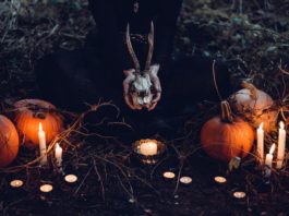 Halloween, Mindenszentek, Halottak napja Halloween, Mindenszentek, Halottak napja | Cég & Brand