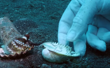 Változás a kezdet | cég & brand