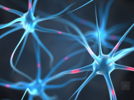 Ki irányít – agy titkai és a technológia Agy titkai | Cég & Brand