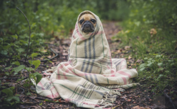 E.T. visszatért, egy story új élete Story a lelke | Cég & Brand
