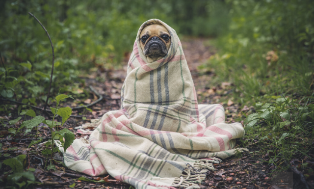 E.T. visszatért, egy story új élete Story a lelke | Cég & Brand