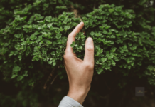 Természetes technológiák Természetes technológia | Cég & Brand