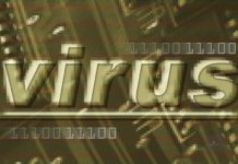 Hatással lehet a cégedre is a vírus Koronavírus - előzd meg | Cég & Brand