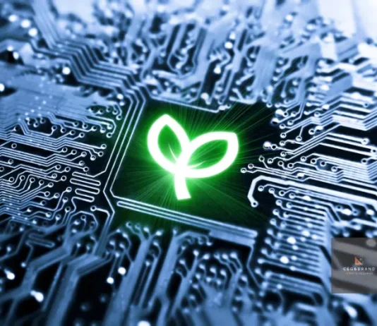 Az MI szerepe a modern márkaépítésben markaépítés mesterséges intelligencia